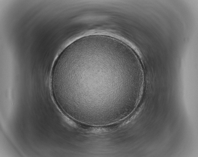 X0000116431525200912081514