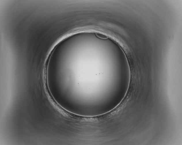 X0000116431526200912081514
