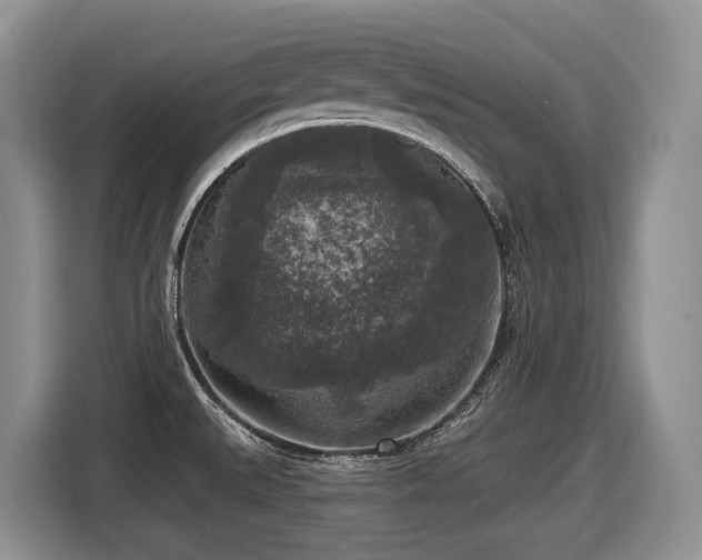 X0000116431527200912081514