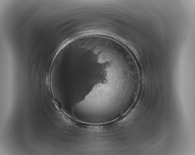 X0000116431529200912081514