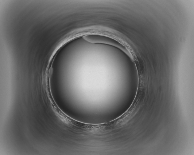 X0000116431530200912081514
