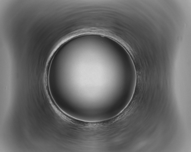 X0000116431531200912081514