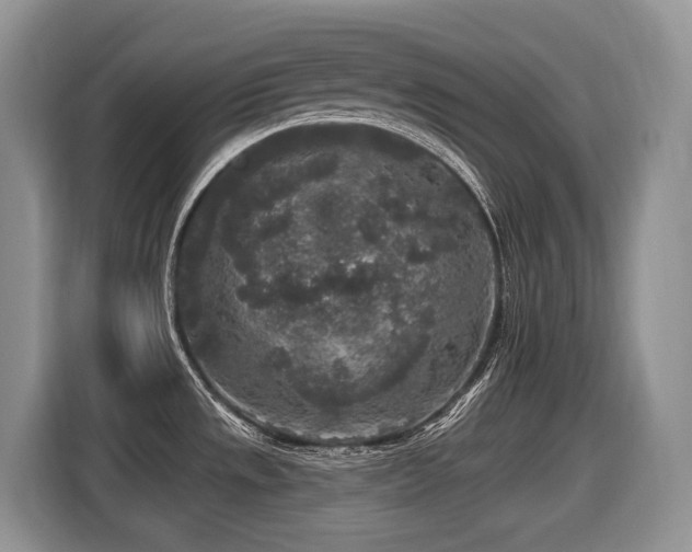 X0000116431533200912081514