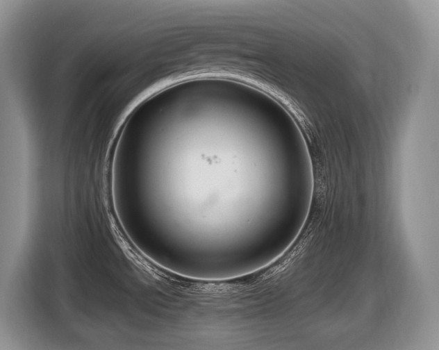 X0000116431534200912081514