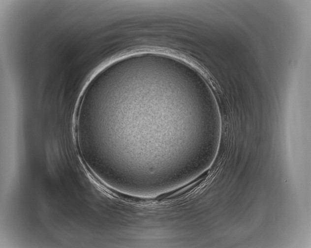 X0000116431535200912081514