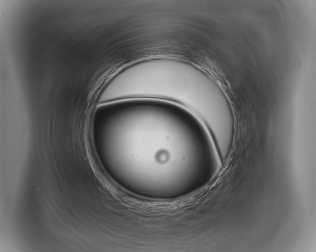 X0000116430001200912151027