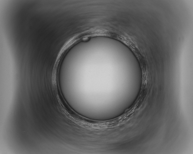 X0000116430004200912151027