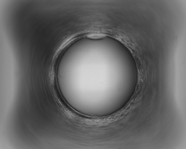 X0000116430005200912151027