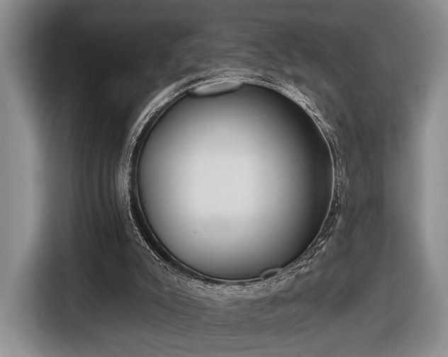 X0000116430007200912151027
