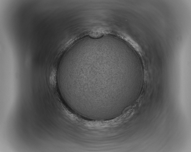 X0000116430009200912151027
