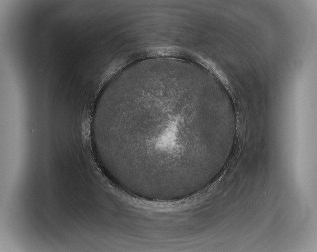 X0000116430010200912151027