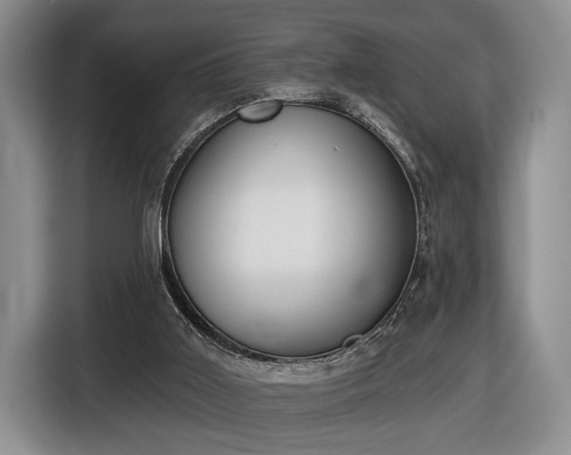 X0000116430011200912151027