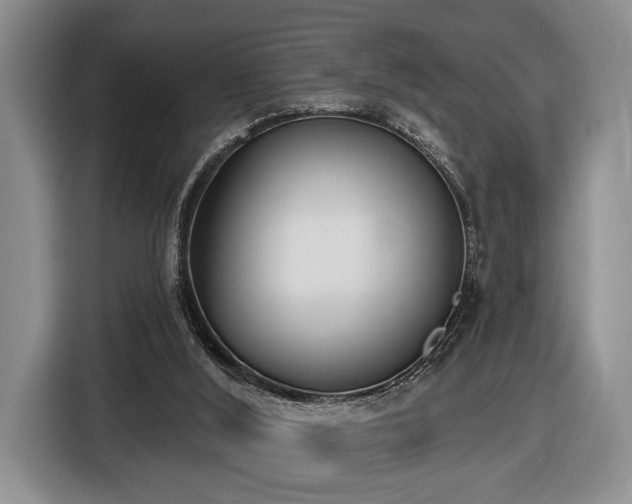 X0000116430012200912151027