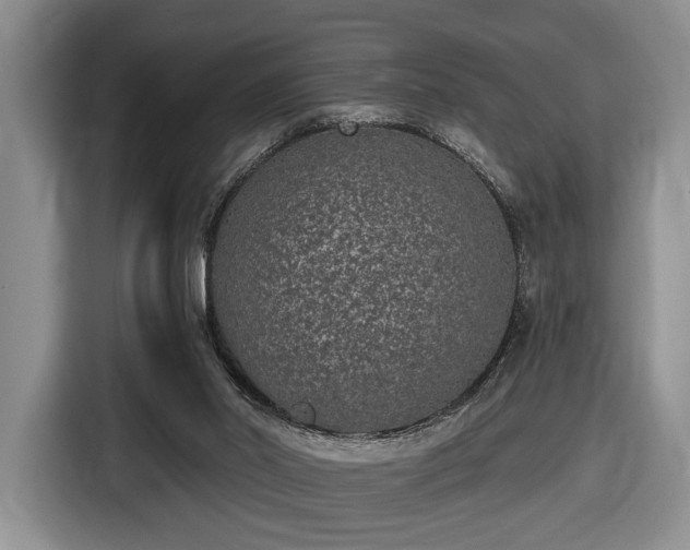 X0000116430014200912151027