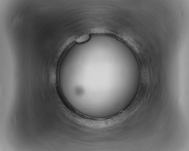 X0000116430015200912151027