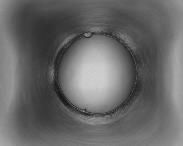 X0000116430016200912151027