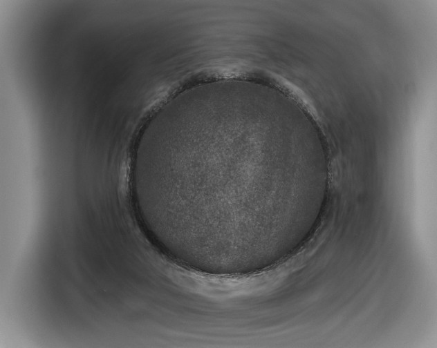 X0000116430018200912151027