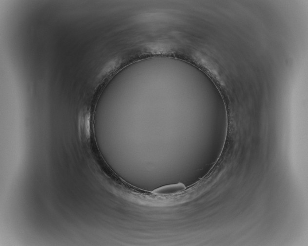 X0000116430019200912151027