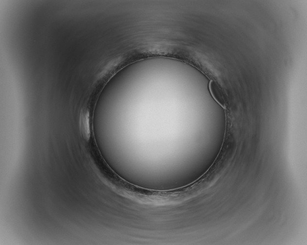 X0000116430020200912151027