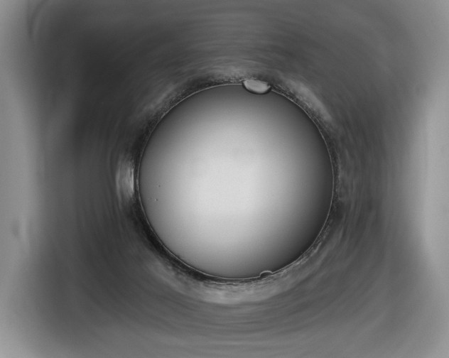 X0000116430021200912151027