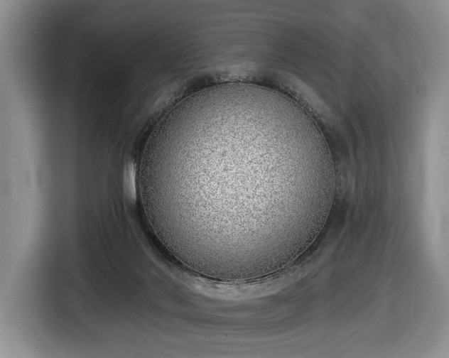 X0000116430022200912151027