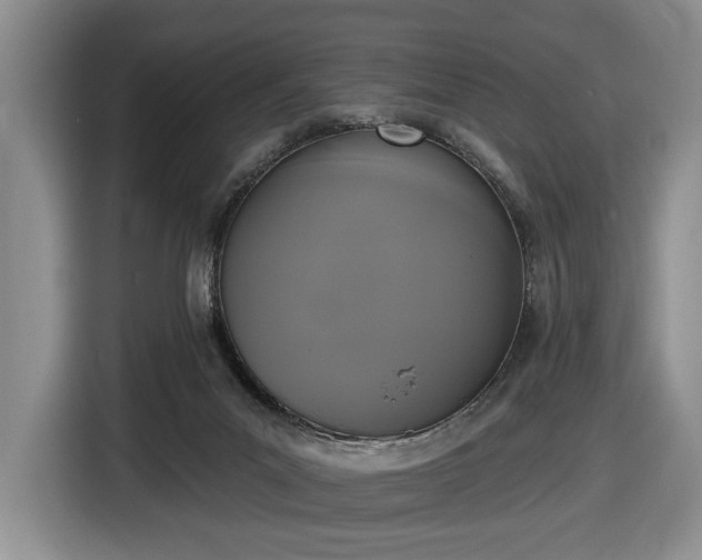 X0000116430023200912151027