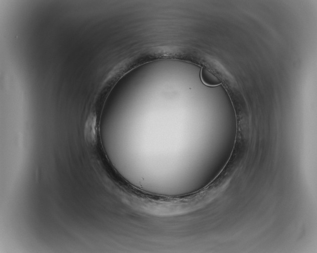 X0000116430024200912151027