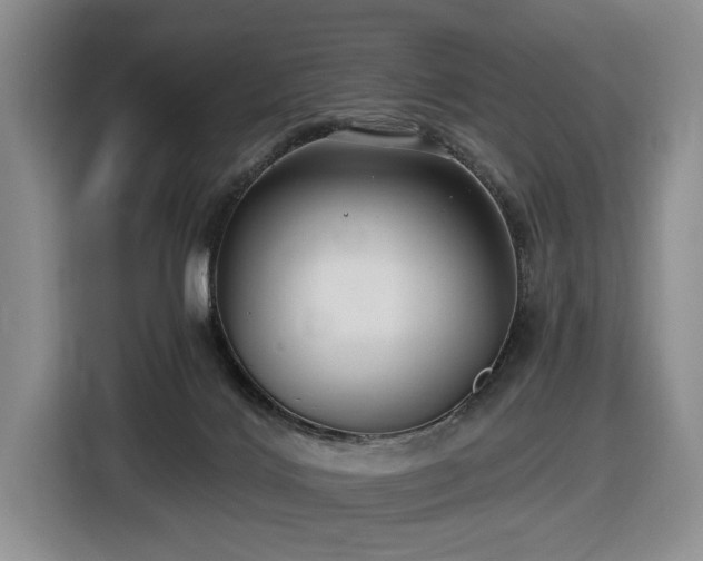 X0000116430028200912151027