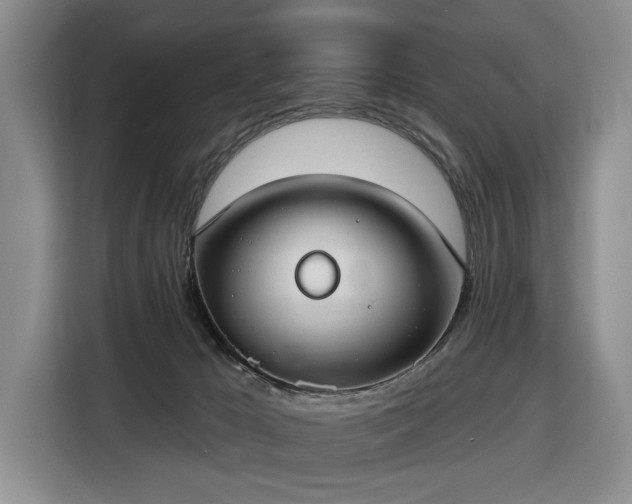 X0000116430029200912151027