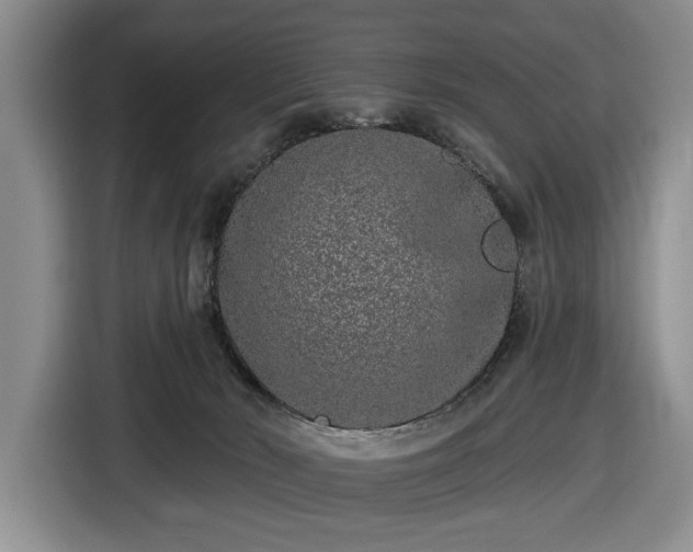 X0000116430030200912151027