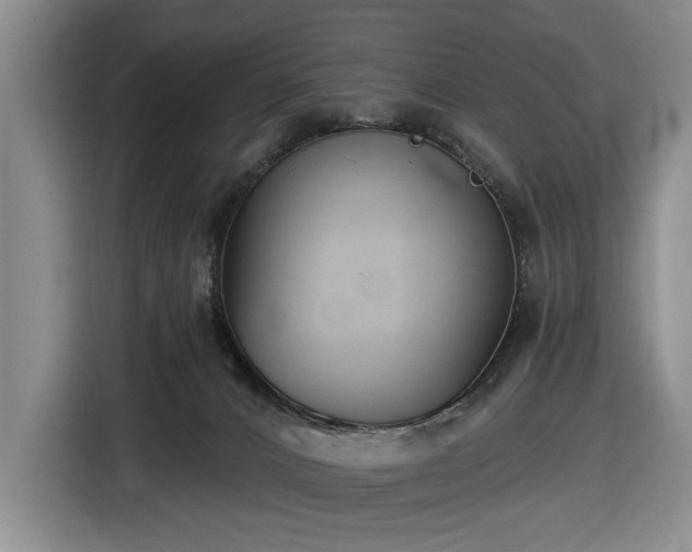 X0000116430032200912151027