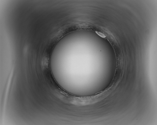 X0000116430033200912151027