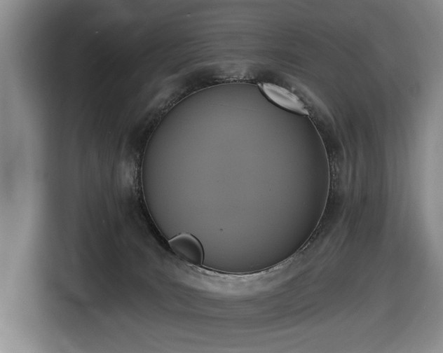 X0000116430035200912151027