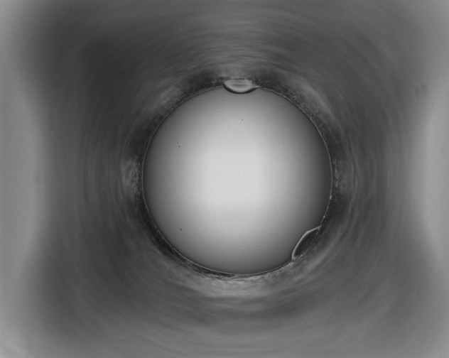 X0000116430036200912151027