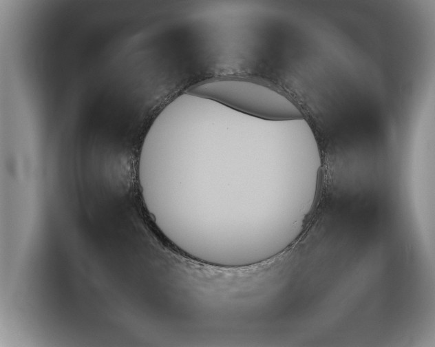 X0000116430043200912151027