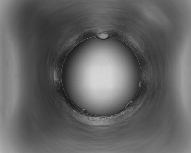 X0000116430044200912151027