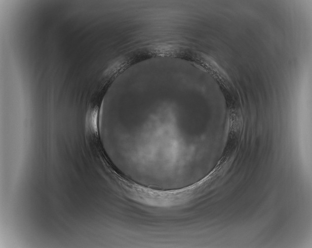 X0000116430047200912151027