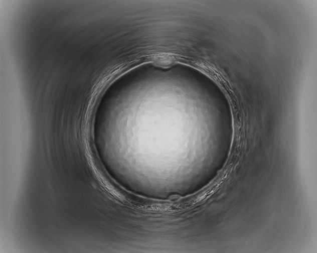 X0000116430049200912151026