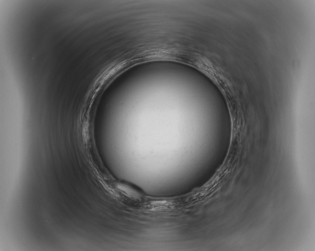 X0000116430050200912151026