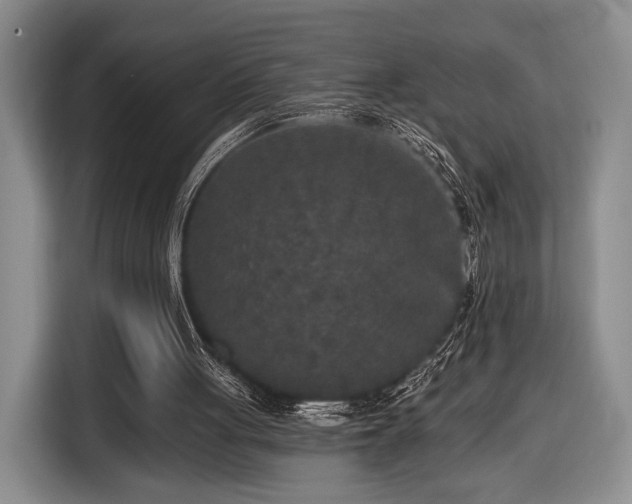 X0000116430051200912151026