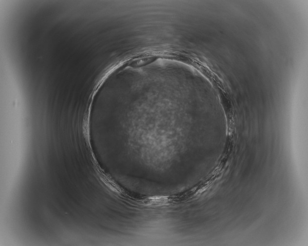 X0000116430052200912151026