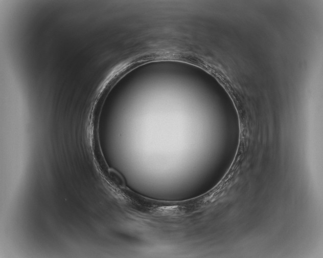 X0000116430054200912151026