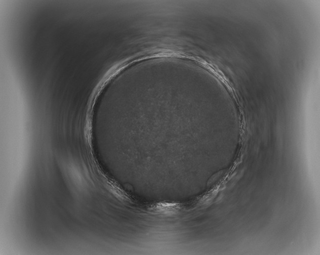 X0000116430055200912151026