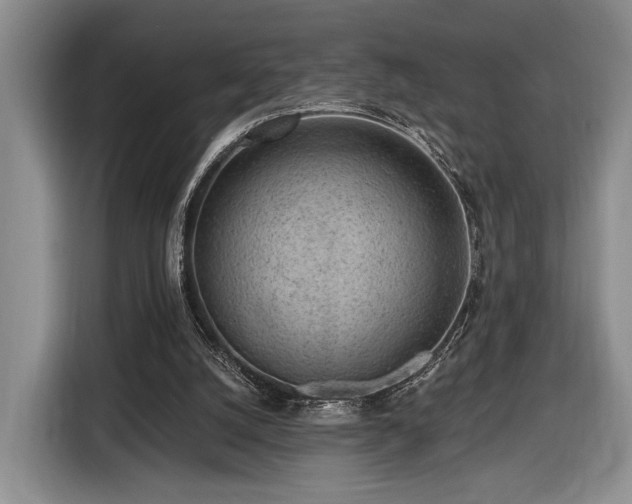 X0000116430056200912151026