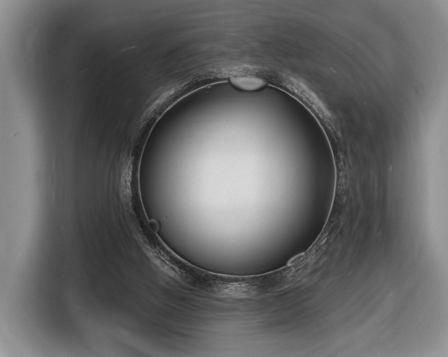 X0000116430058200912151026