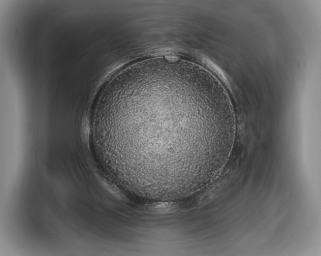 X0000116430059200912151026