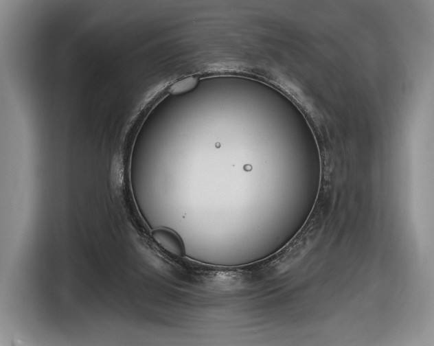 X0000116430060200912151026