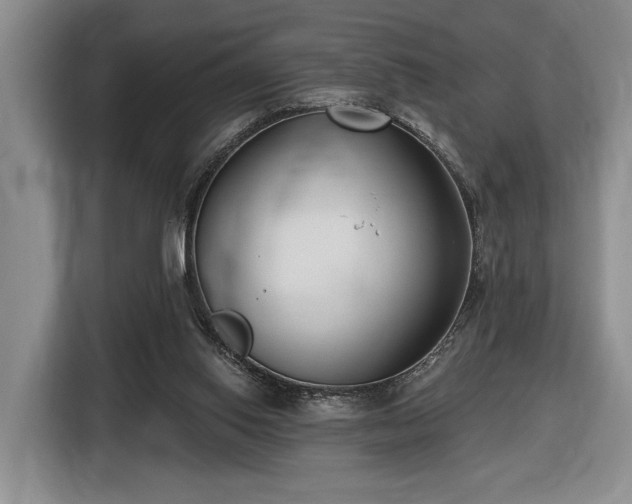 X0000116430062200912151026