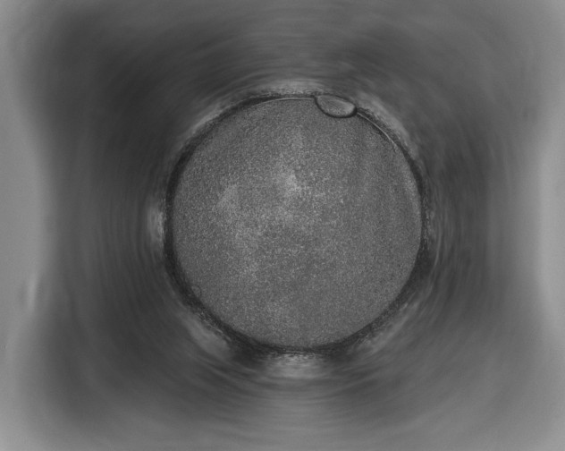 X0000116430063200912151026