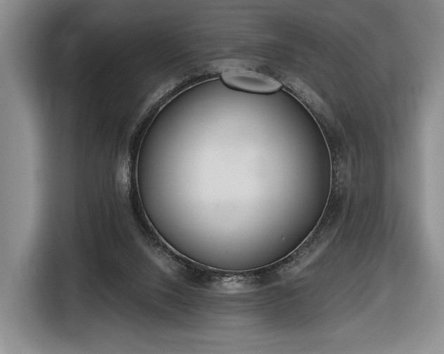 X0000116430064200912151026